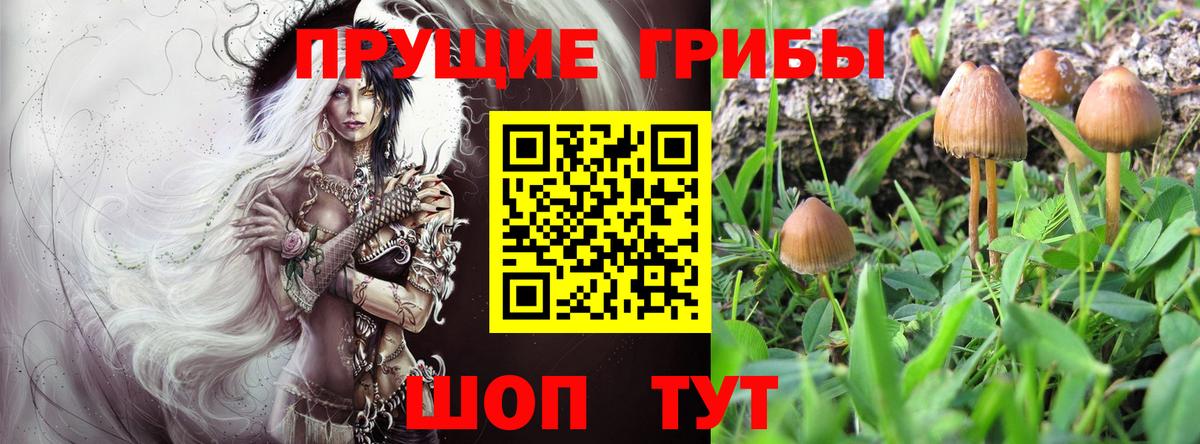 Псилоцибиновые грибы MAGIC MUSHROOMS  купить наркотики сайты  Белгород  Вход с VPN 