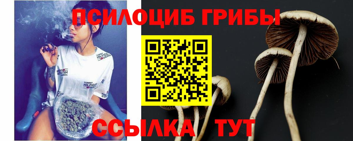 Галлюциногенные грибы ЛСД Белгород